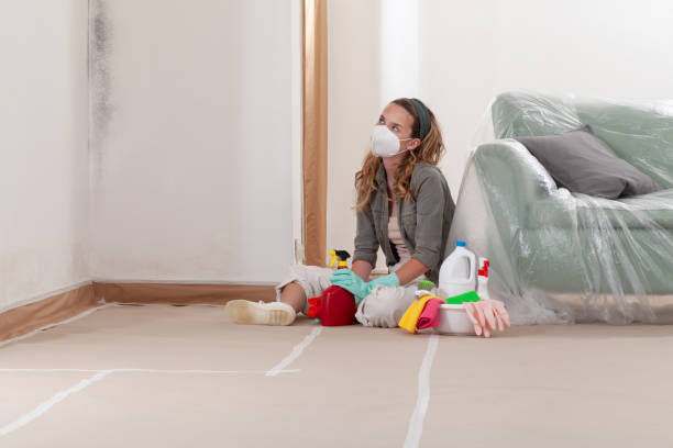 Reliable Black Mold Remediation contractor in Woodbine, NJ by 24 Hour Mold Removal